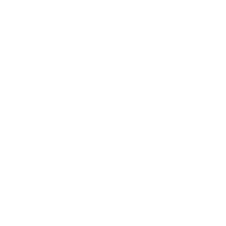 L&S Logo